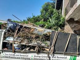 Shed Removal in Silverthorne, CO